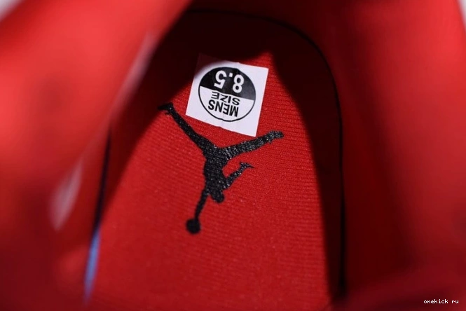 Rep Onekick Day Singles Jordan Air AV3914-600 4 0812